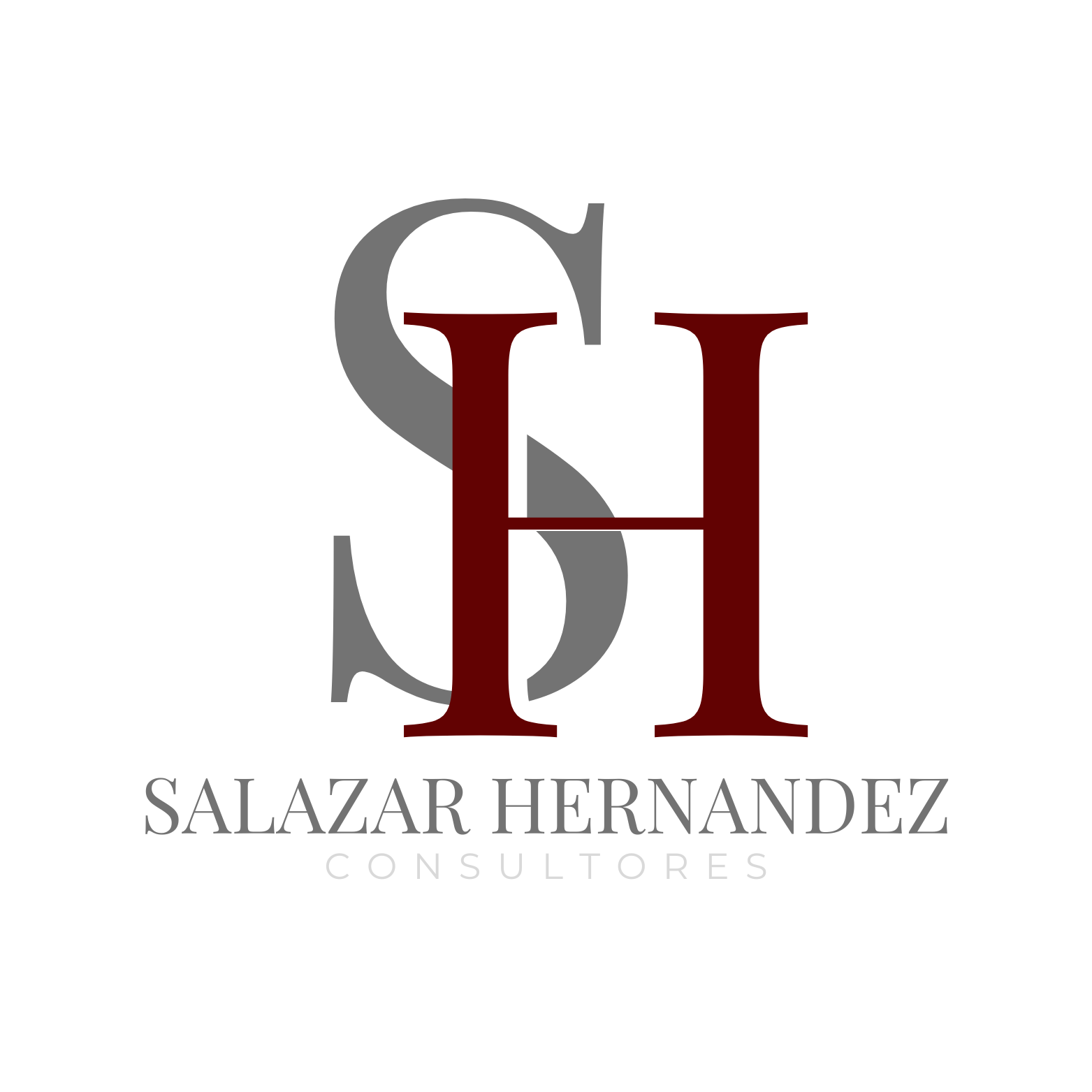 Salazar Hernández Consultores